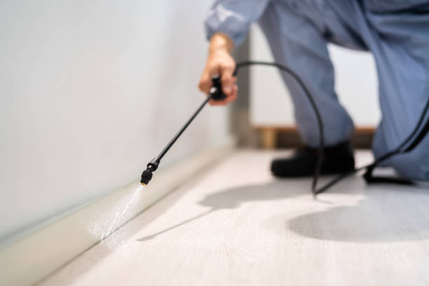 Licensed Termite Control service in Arbutus, MD - Nex Pest Control