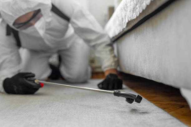 Professional Termite Control technician working in Arbutus, MD