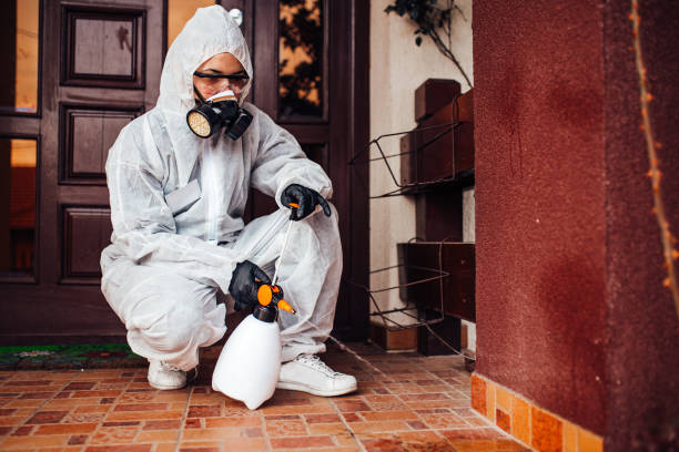 Reliable Termite Control contractor in Arbutus, MD by Nex Pest Control